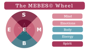 Image shows a graphic representing the Sex Coach U MEBES(c) Wheel model.