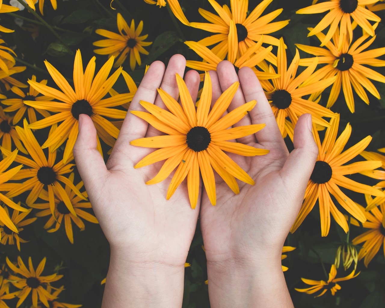 two hands holding a yellow flower in practicing a ritual for sexual wellness
