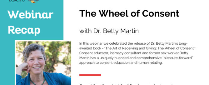 graphic depicting the wheel of consent webinar presentation
